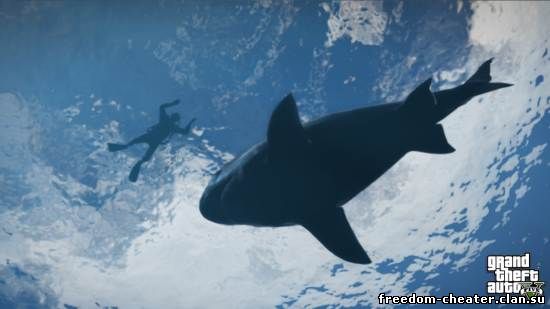 акула в gta 5